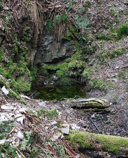 studánka Ve Skále (325)
