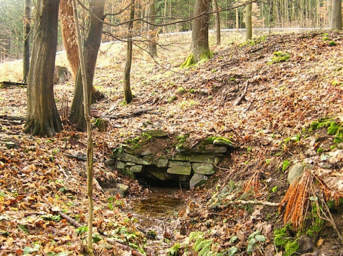 studánka U rasovny (330)