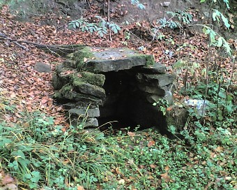 studánka Na Podrysoví (339)