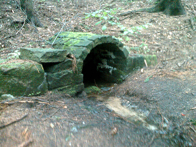 studánka U hadího smrku (341)
