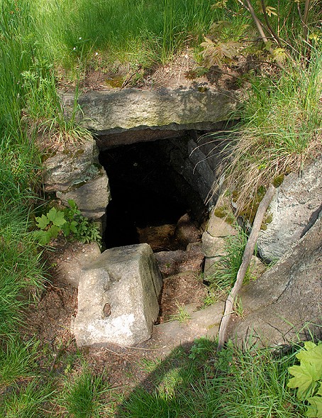 studánka bez jména (343)