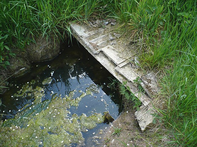 studánka bez jména (344)