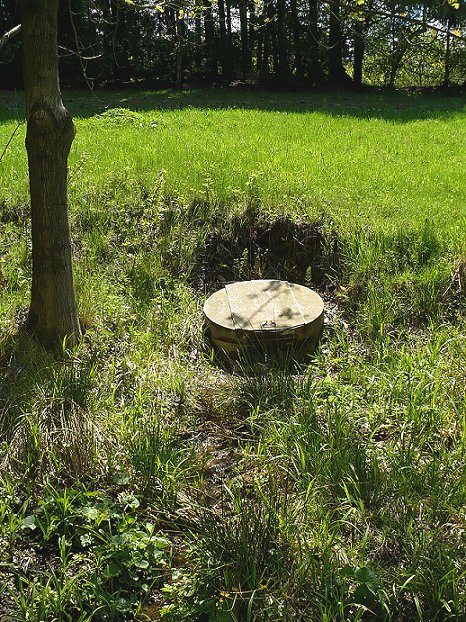 studánka bez jména (345)