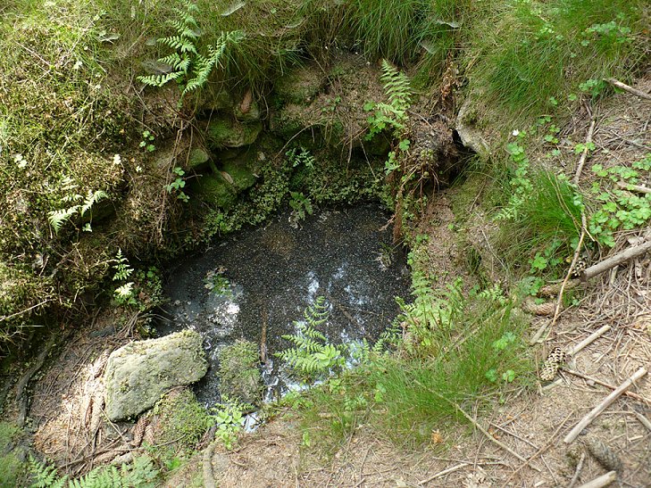 studánka bez jména (346)