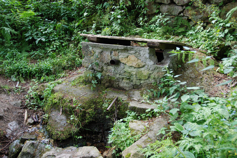Hradní studánka (353)