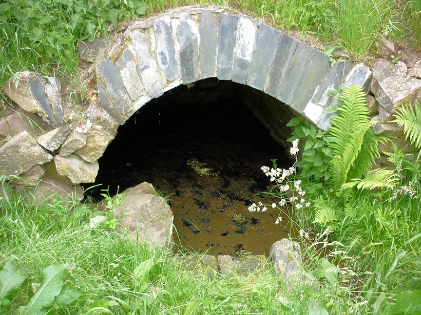 studánka Zámecká (355)