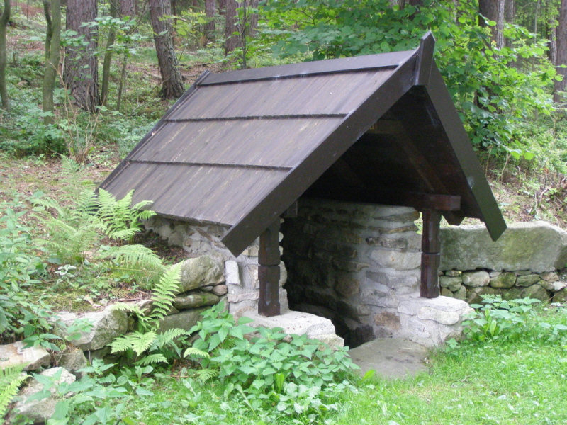Lesní studánka (365)