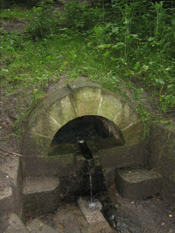 studánka U Bartoňského rybníka (379)