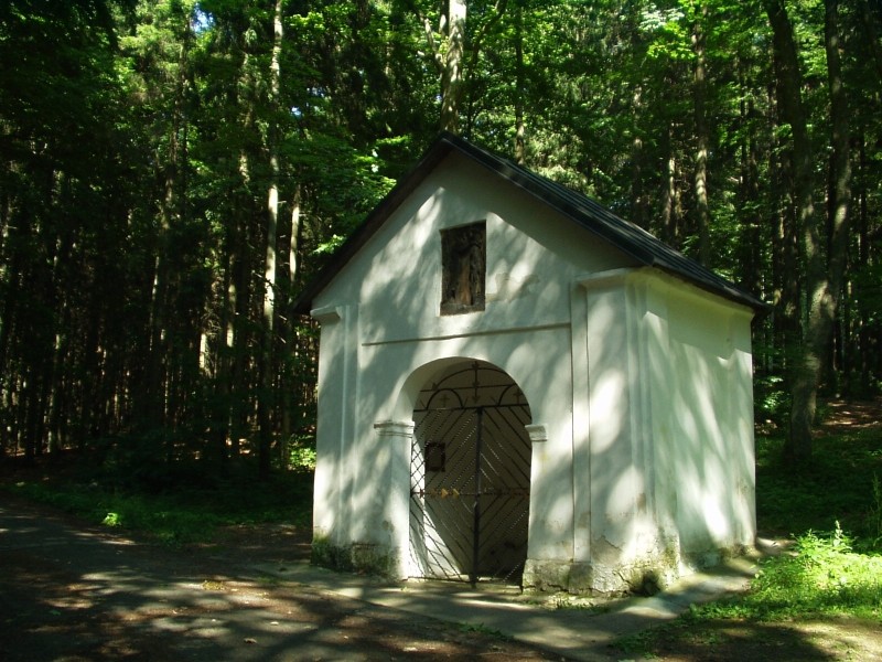 pramen Zázračná studánka (382)