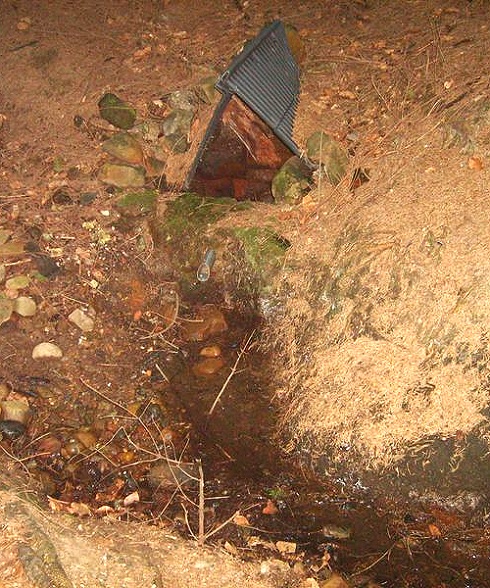 studánka bez jména (395)