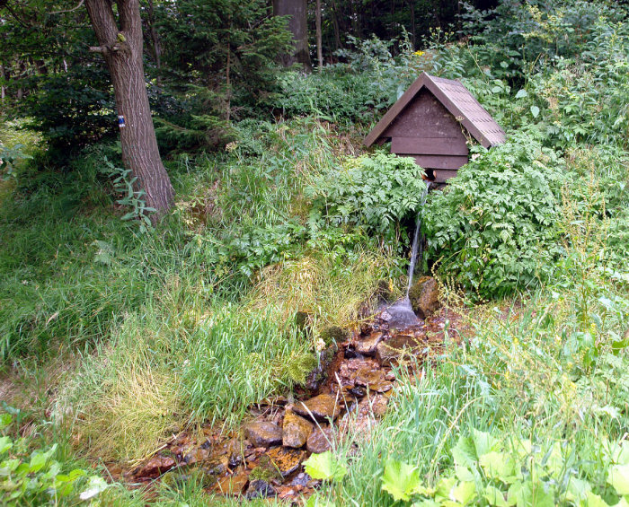 pramen Pod Loučnou (407)