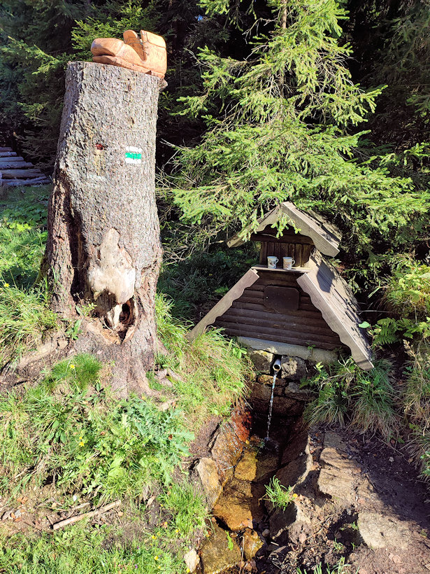 jiný vodní zdroj Fischerova studánka (411)