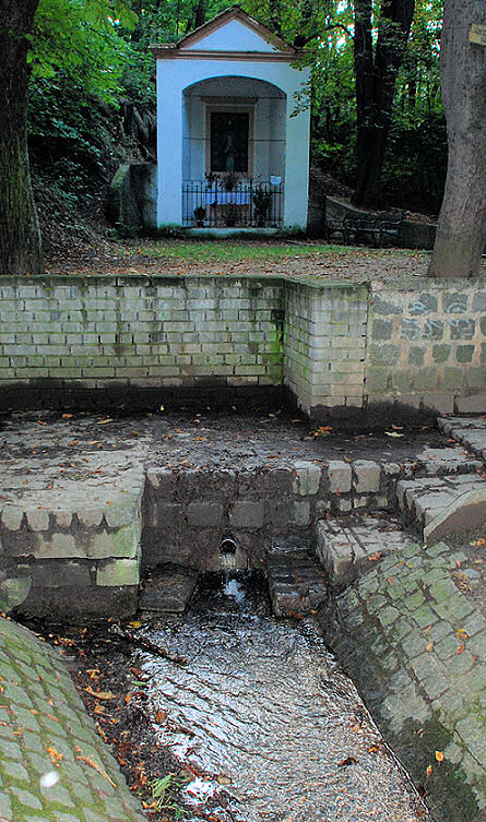 pramen Zázračná studánka (415)