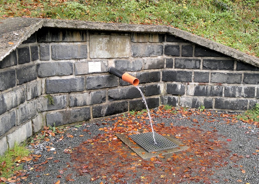 Sachova studánka (431)