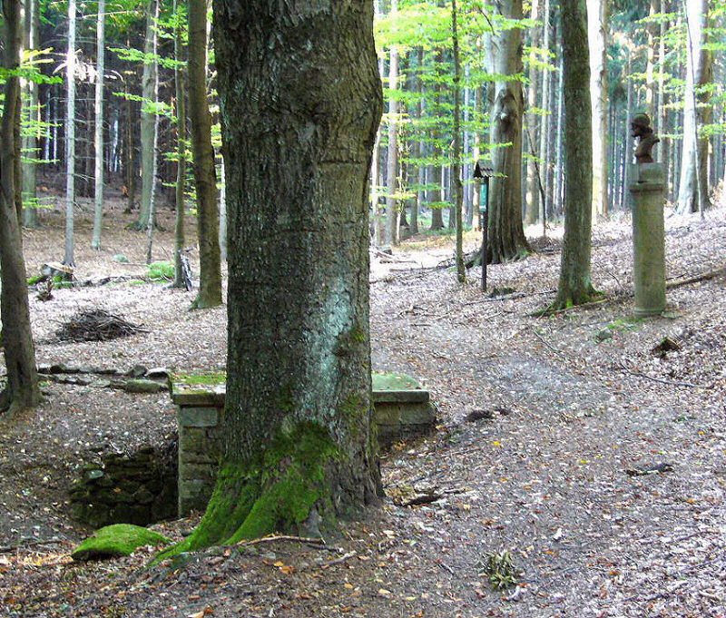 Žižkova studánka (440)