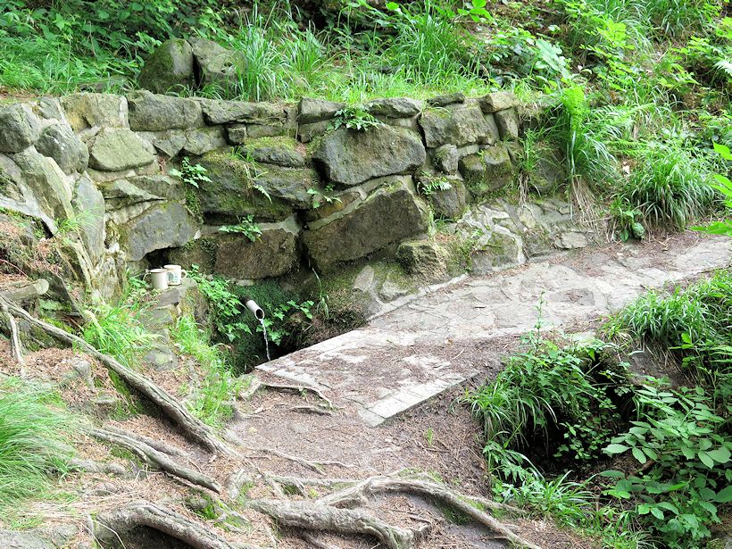 Kubitova studánka (443)