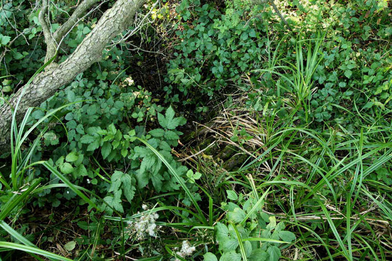 pramen Urbanova studánka (Rontkorlquelle) (444)