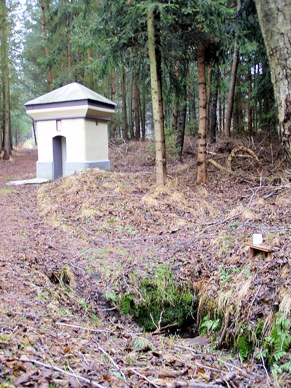 Císařská studánka (445)