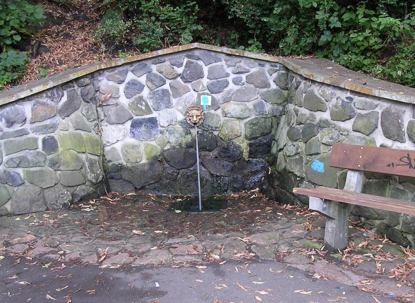 studánka Královský pramen (459)