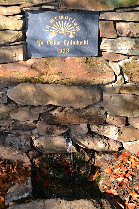 Gutwinski pramen (463)