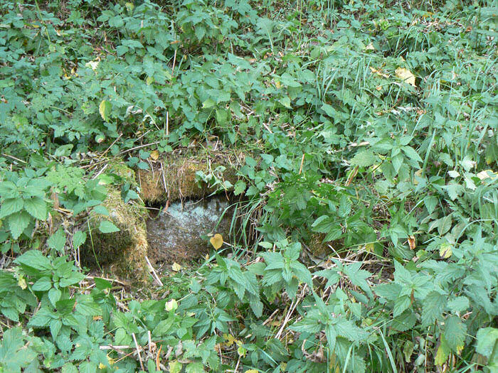 studánka Skalka (466)
