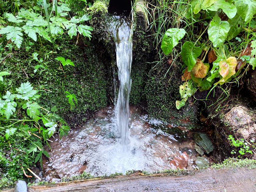 studánka Luisino údolí (474)