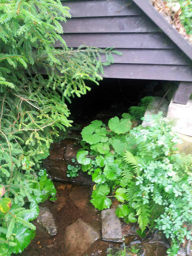 studánka Peregrinka (480)