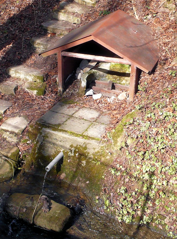 Studánka u Hřešického mlýna (483)