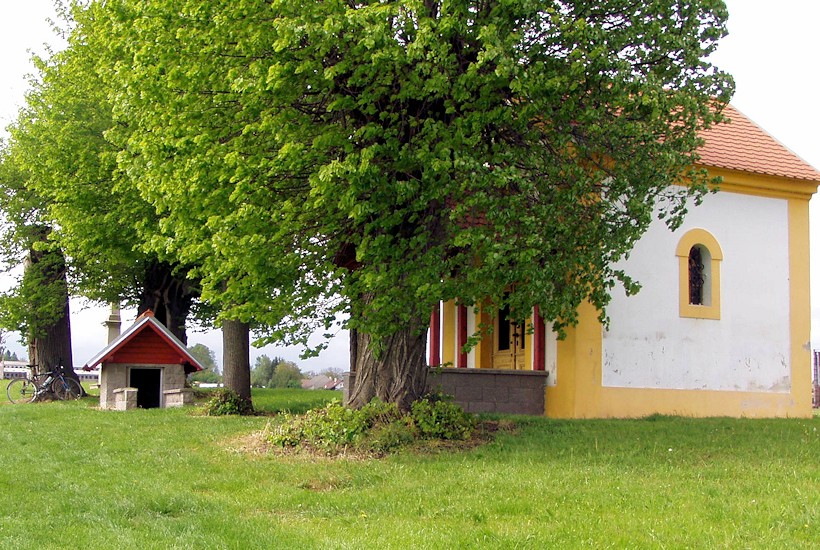 studánka U kapličky (486)