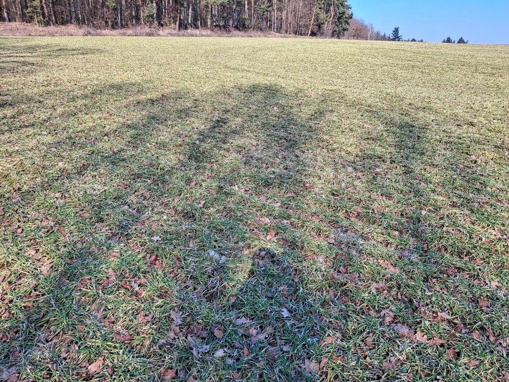 pramen Průsak (487)