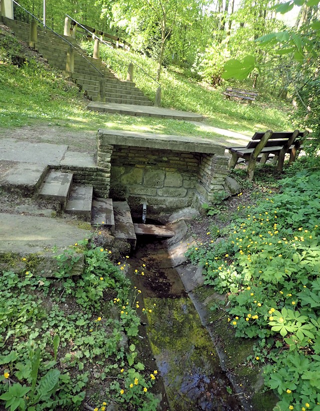 Studánka u kapličky ve Smržově (493)