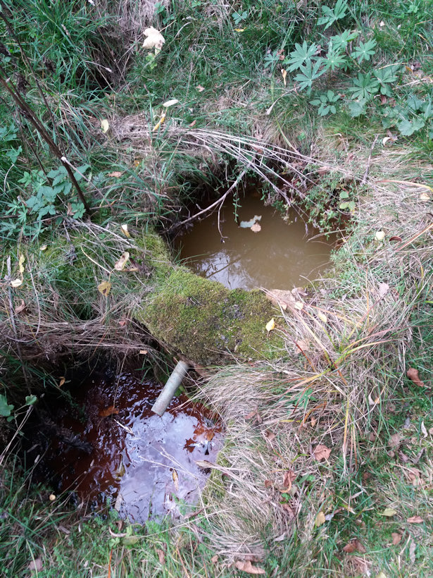 studánka Brtenská kyselka (498)