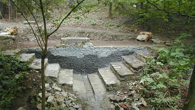 studánka U Tří habrů (510)