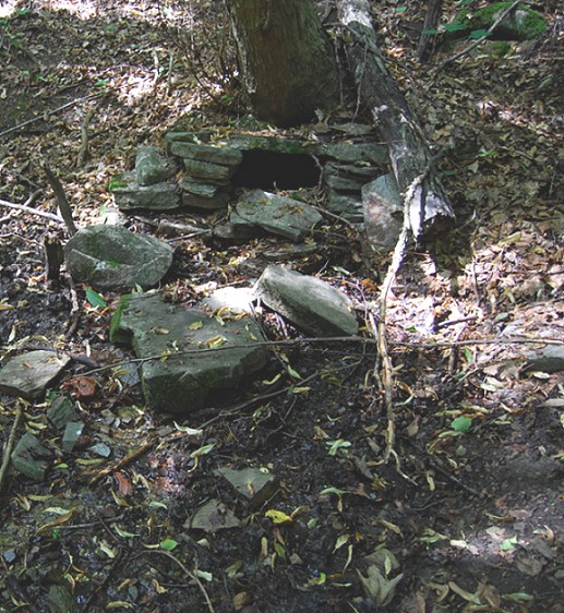 studánka U Strážnice (511)