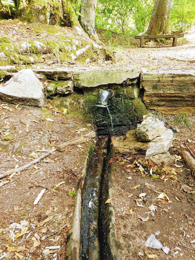 studánka Pod Lipami (522)