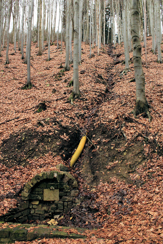 Bisova studánka (524)