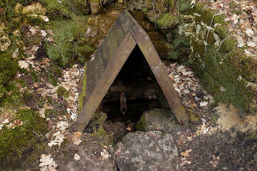 Březinská studánka (530)