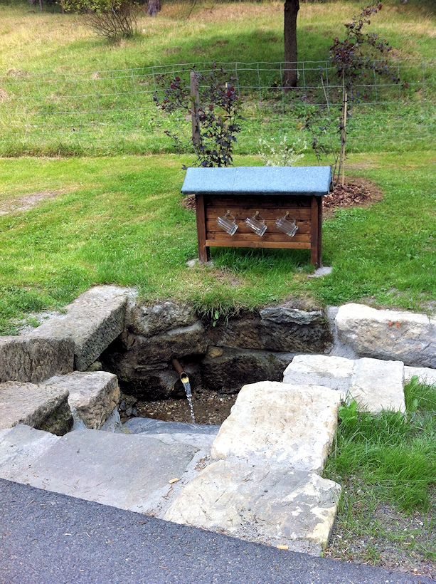 pramen Heřmanická studánka (541)