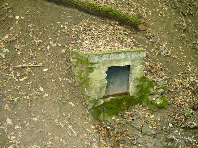 Tomášova studánka (546)