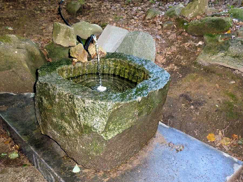 Křižná studánka (556)