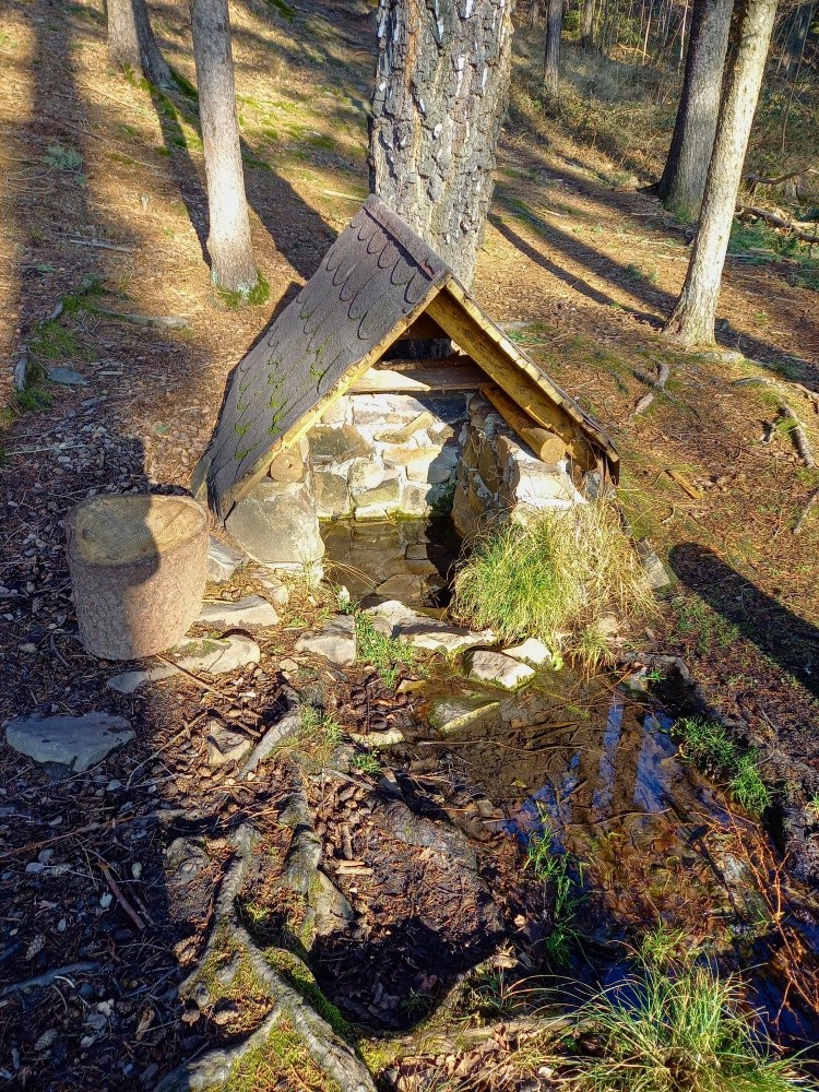 studánka U Eliščiny cesty (559)