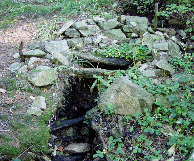 studánka Pod Hradišťským vrchem (569)