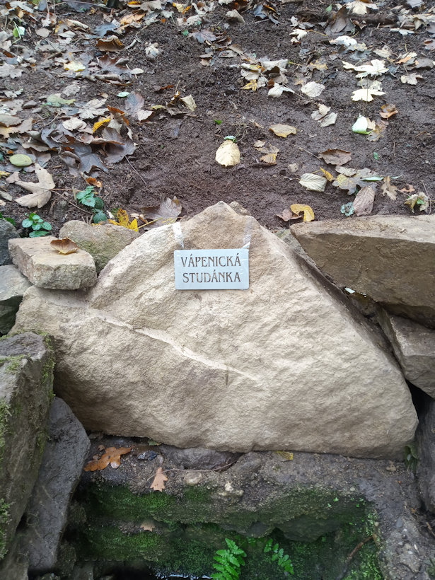 studánka Naproti Vápenici (570)