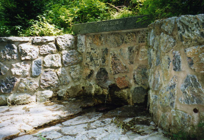 studánka Pro Silva (575)