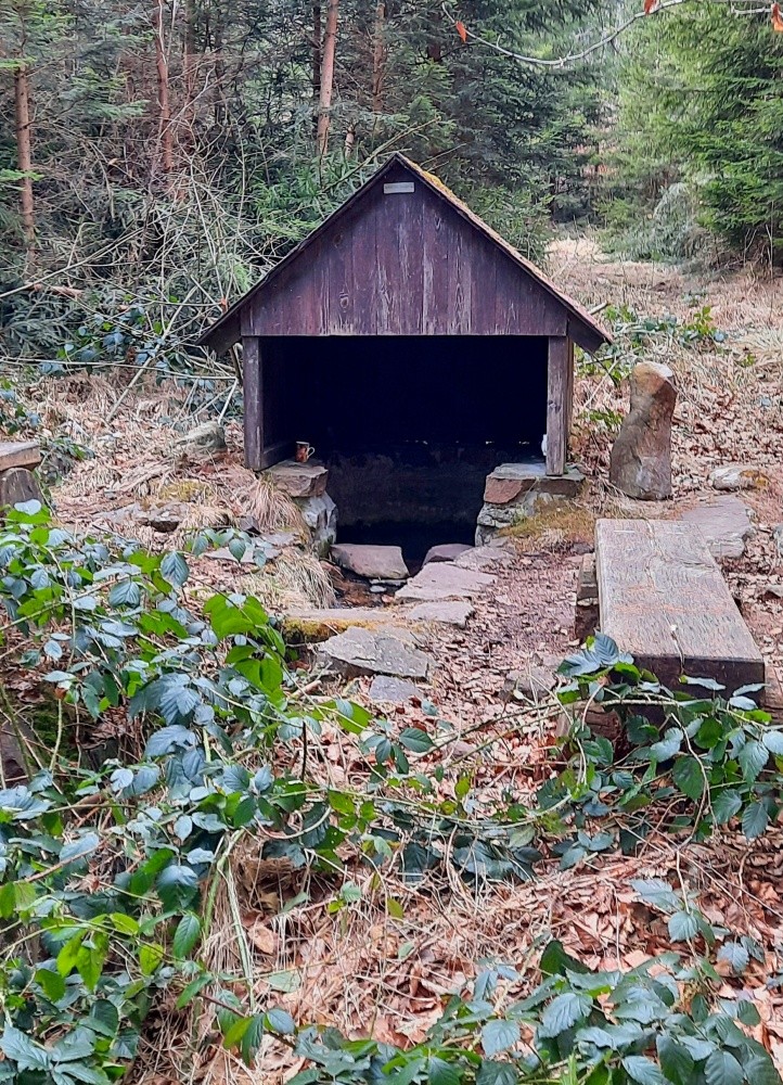 Drmotova studánka (581)