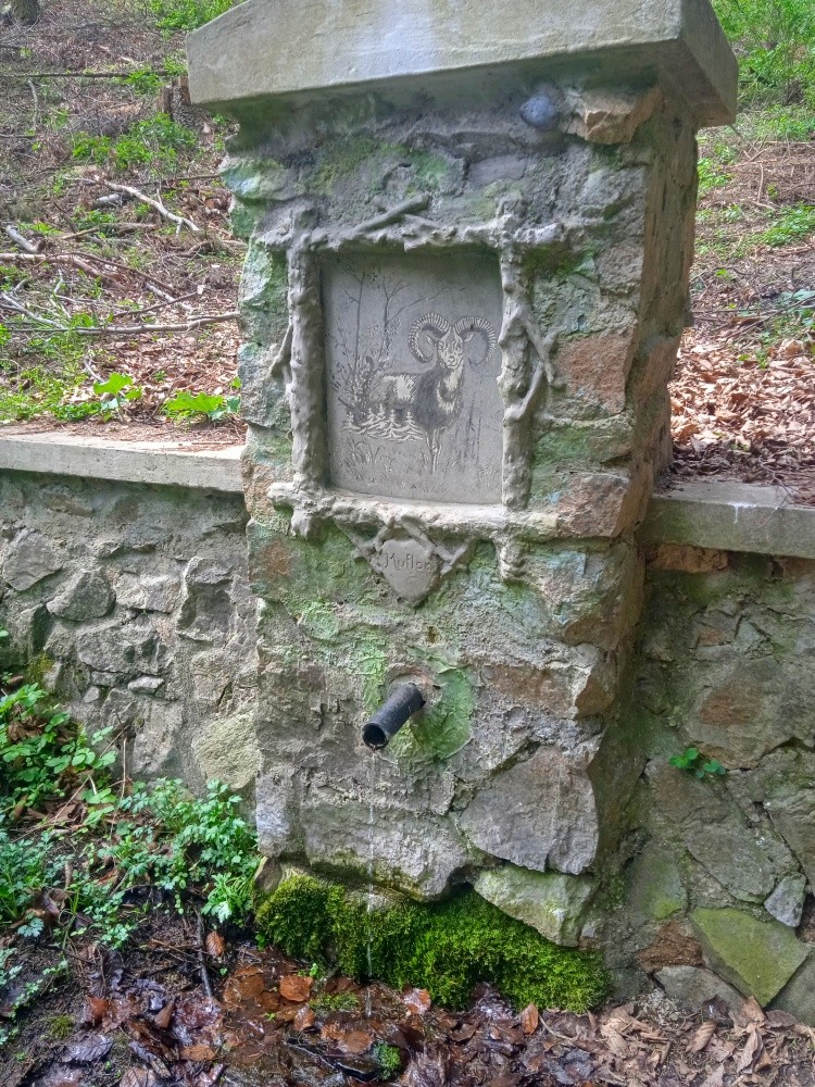 Mufloní studánka (585)