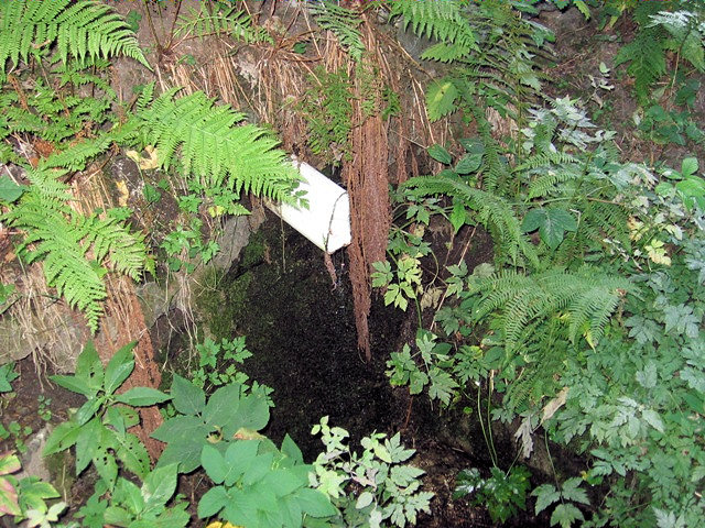 studánka V Hambálkách (590)