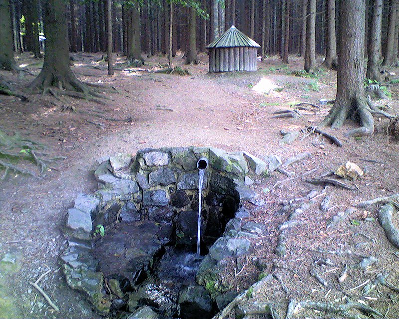 Stříbrná studánka (593)