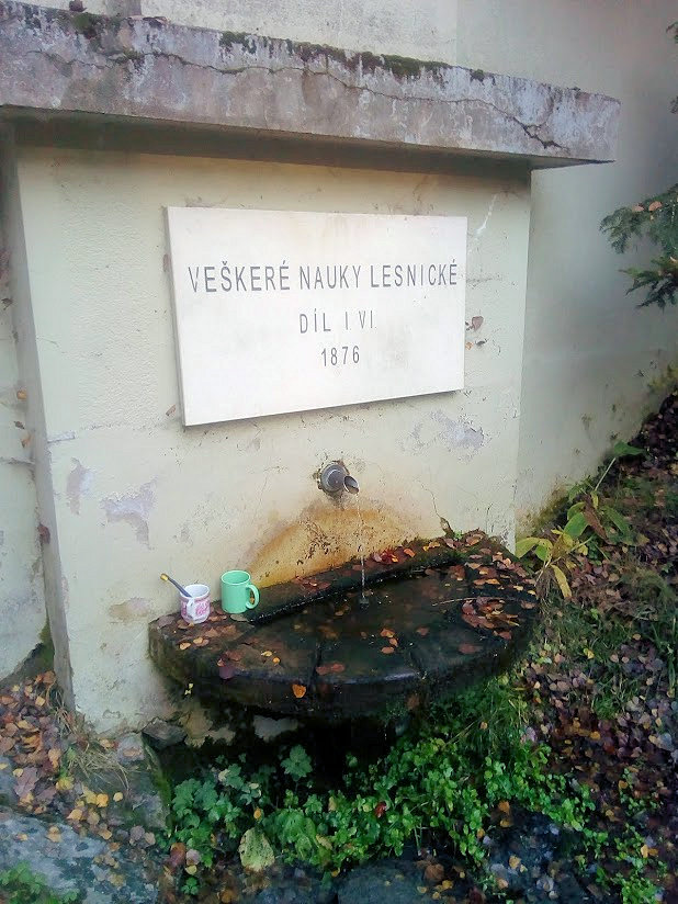 studánka Schindlerova (600)
