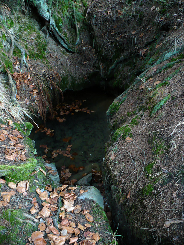 Studánka Panny Marie (605)
